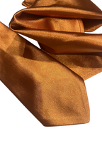 groomsmen matching tie and pocket square in terracotta,  matching bridesmaid color