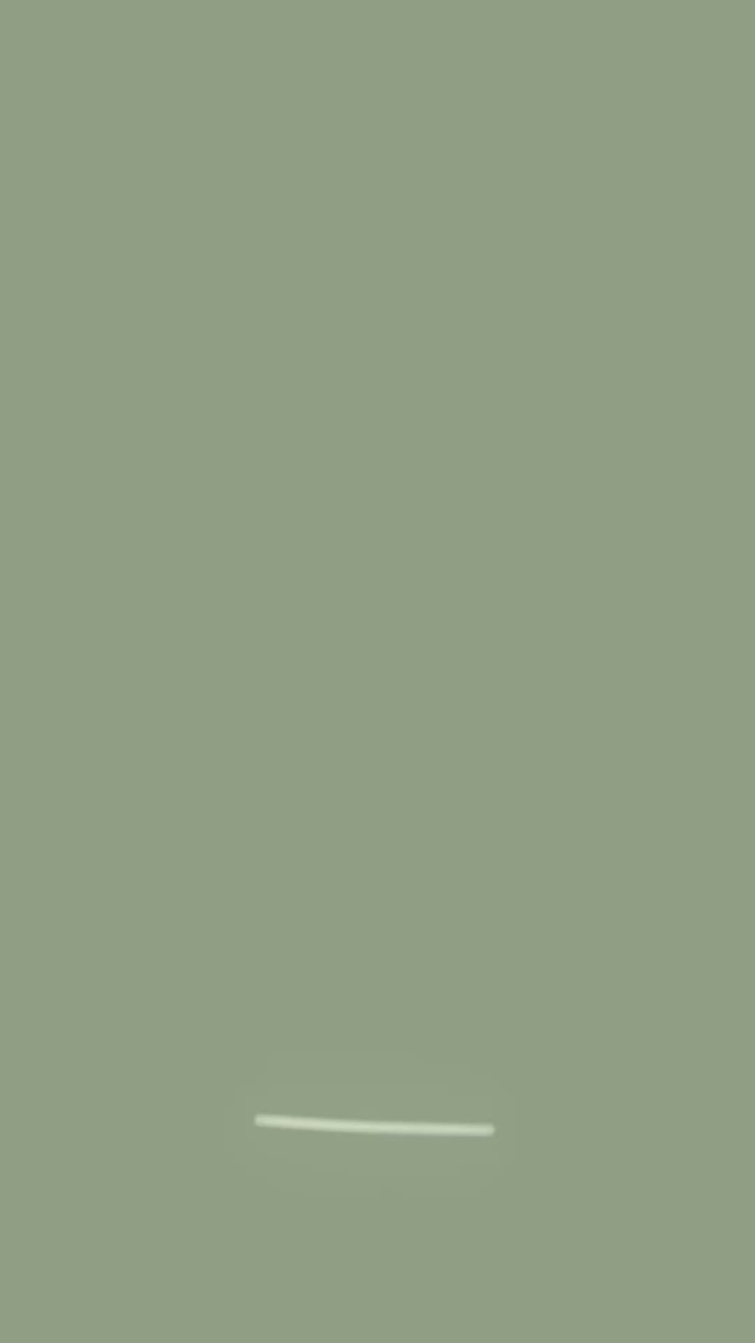 The Pantora Palette