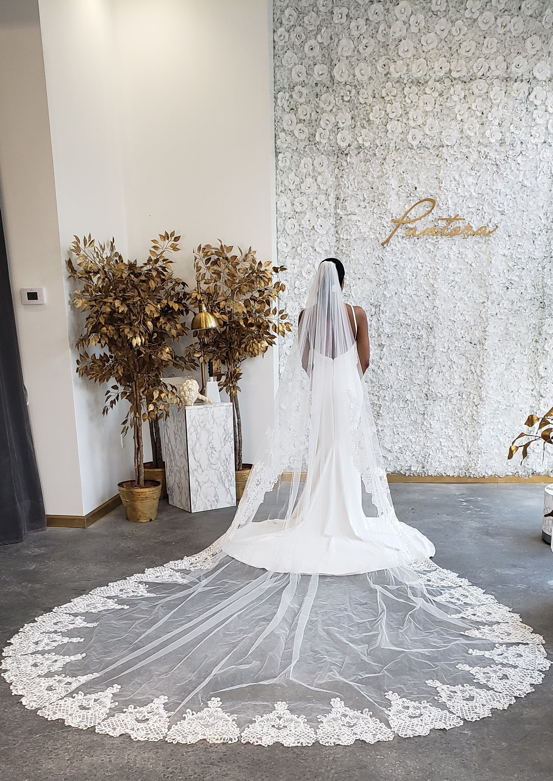 Long veil for Bride
